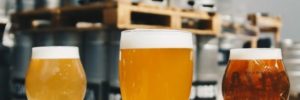 stromsoe-insurance-agency-blog-brewery-insurance-graphic